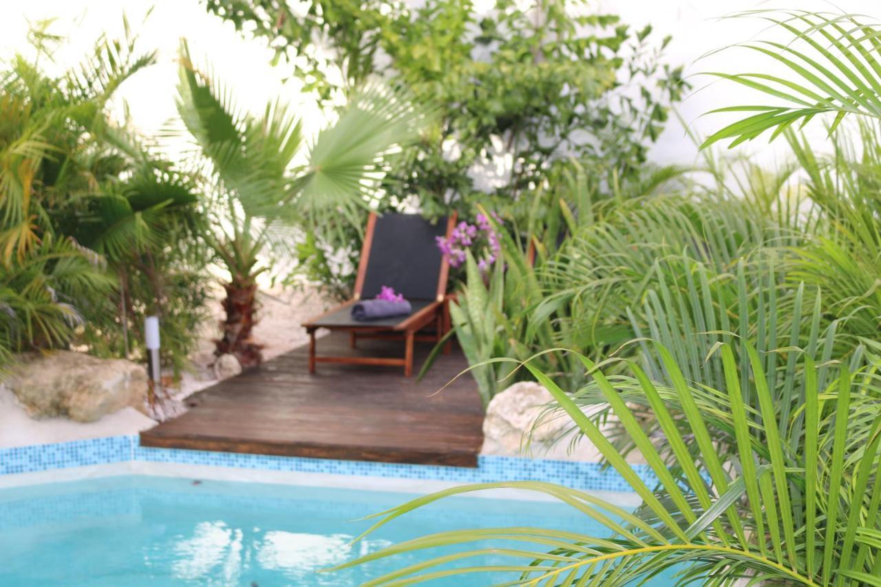 New House Tropic Paradise With Pool Willemstad Buitenkant foto