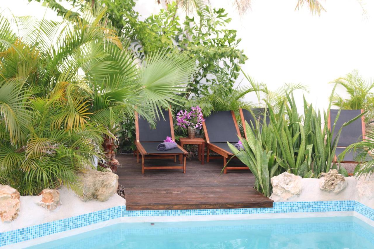 New House Tropic Paradise With Pool Willemstad Buitenkant foto
