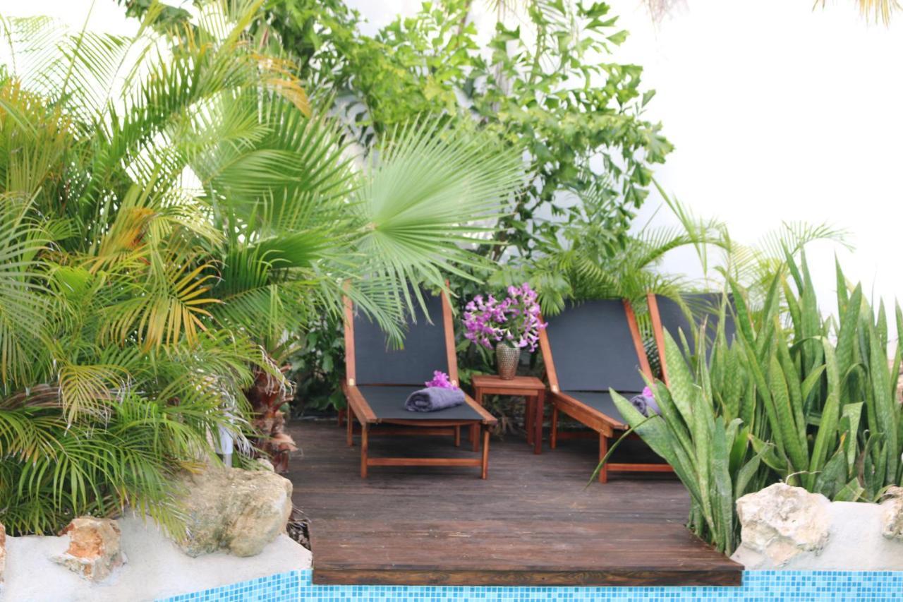 New House Tropic Paradise With Pool Willemstad Buitenkant foto