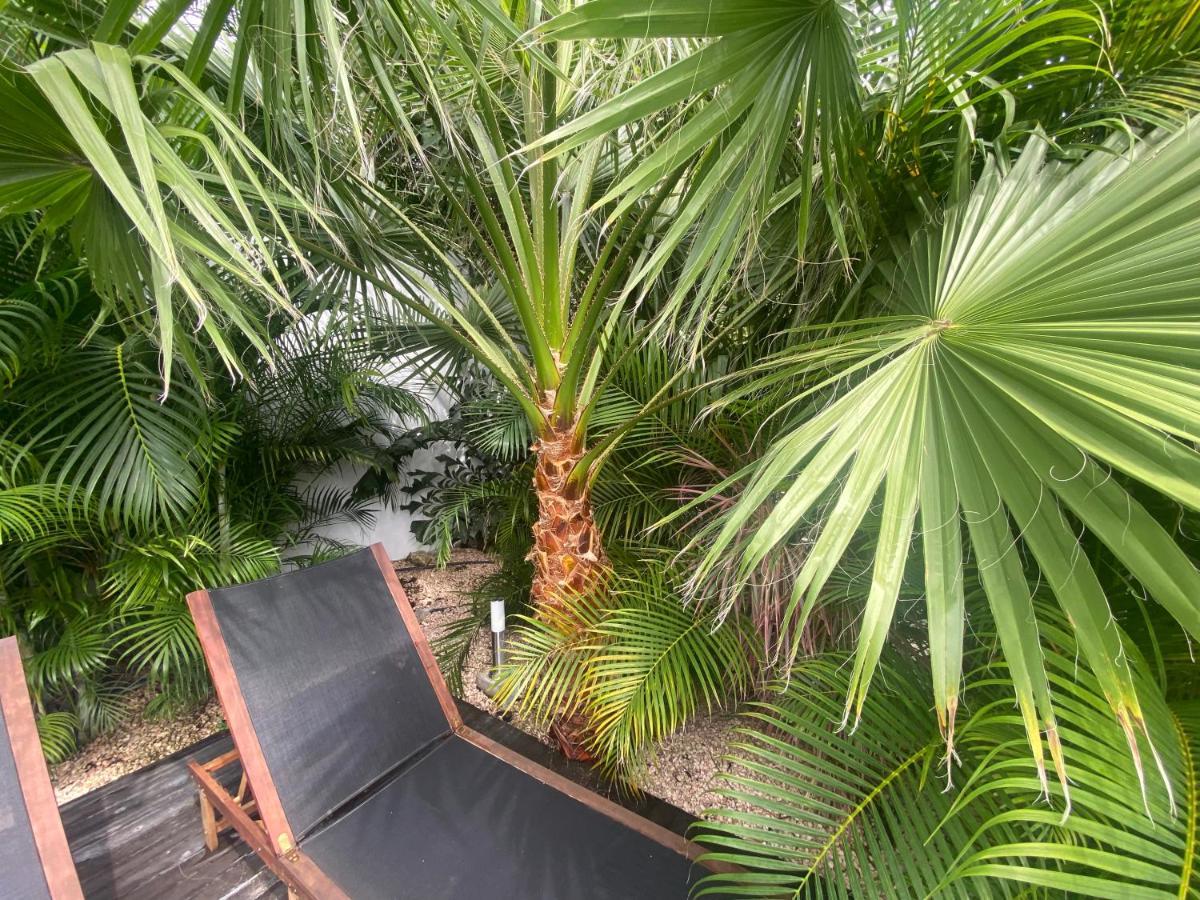 New House Tropic Paradise With Pool Willemstad Buitenkant foto